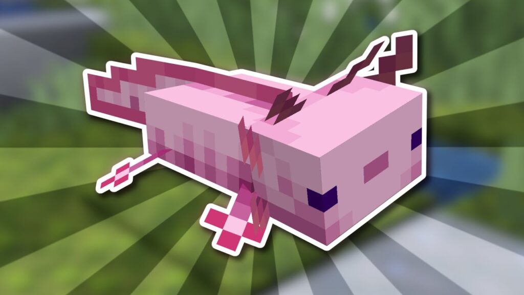 Minecraft axolotl